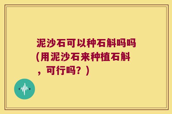 泥沙石可以种石斛吗吗(用泥沙石来种植石斛，可行吗？)