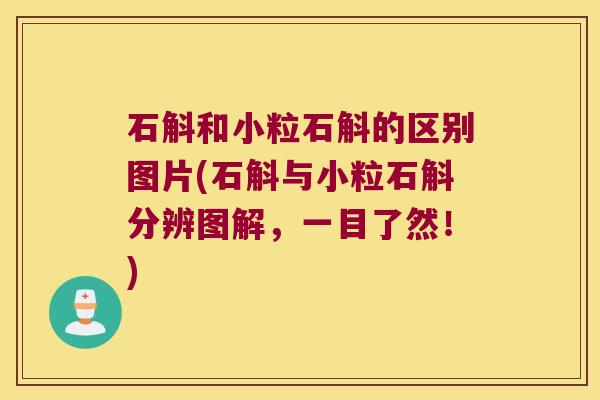 石斛和小粒石斛的区别图片(石斛与小粒石斛分辨图解，一目了然！)