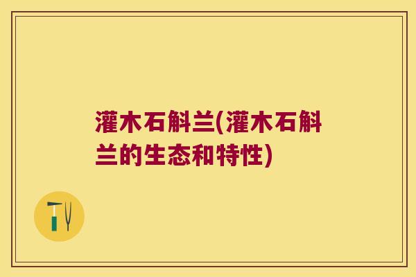 灌木石斛兰(灌木石斛兰的生态和特性)