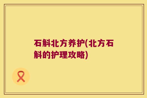 石斛北方养护(北方石斛的护理攻略)
