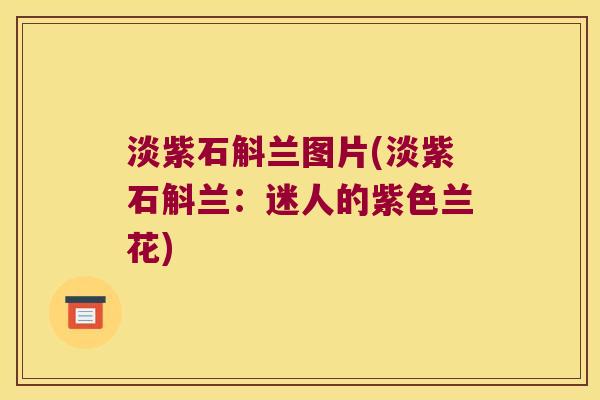 淡紫石斛兰图片(淡紫石斛兰:迷人的紫色兰花) 淡紫石斛兰图片(淡紫石斛兰:迷人的紫色兰花)