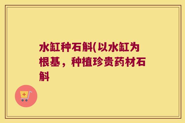 水缸种石斛(以水缸为根基，种植珍贵药材石斛