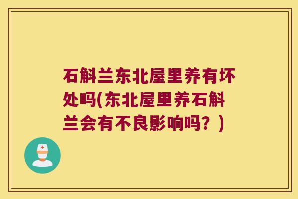 石斛兰东北屋里养有坏处吗(东北屋里养石斛兰会有不良影响吗？)