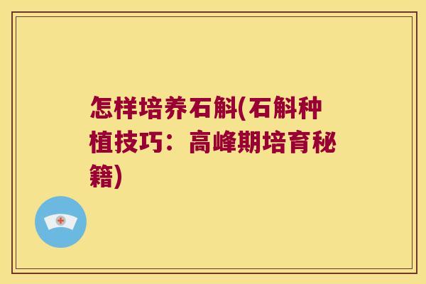 怎样培养石斛(石斛种植技巧：高峰期培育秘籍)