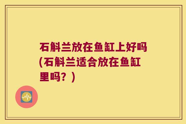 石斛兰放在鱼缸上好吗(石斛兰适合放在鱼缸里吗？)