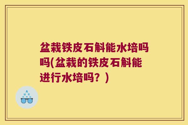 盆栽铁皮石斛能水培吗吗(盆栽的铁皮石斛能进行水培吗？)