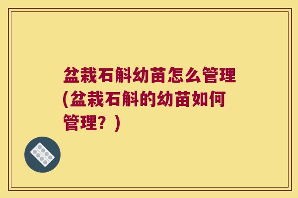 盆栽石斛幼苗怎么管理(盆栽石斛的幼苗如何管理？)