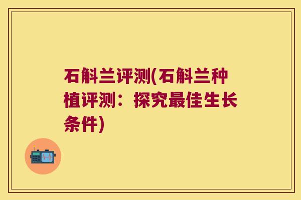 石斛兰评测(石斛兰种植评测：探究佳生长条件)
