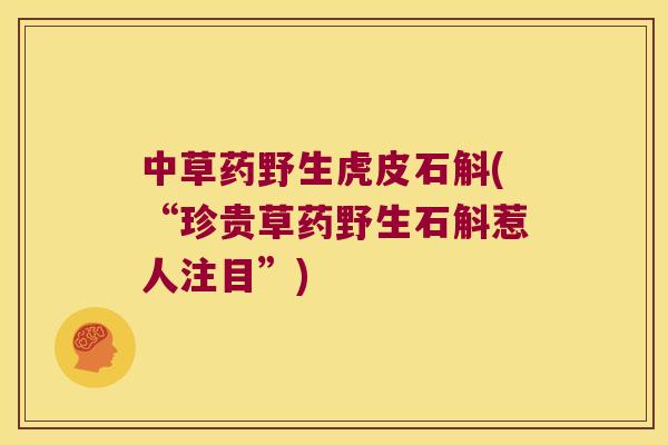 中草药野生虎皮石斛(“珍贵草药野生石斛惹人注目”)