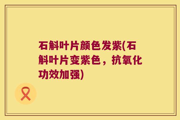 石斛叶片颜色发紫(石斛叶片变紫色，功效加强)