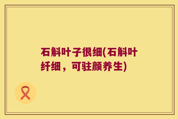 石斛叶子很细(石斛叶纤细，可驻颜养生)