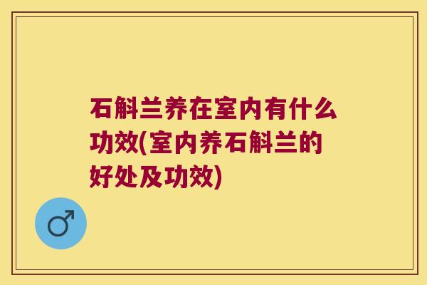 石斛兰养在室内有什么功效(室内养石斛兰的好处及功效)