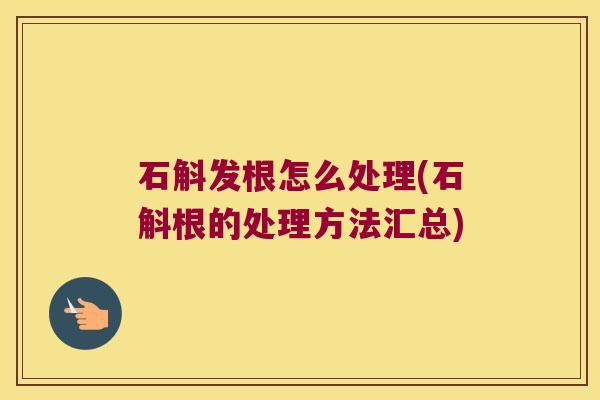 石斛发根怎么处理(石斛根的处理方法汇总)