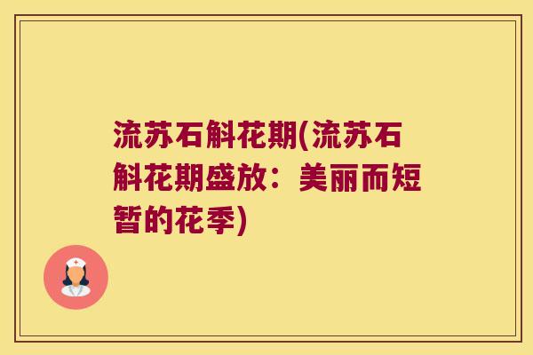 流苏石斛花期(流苏石斛花期盛放：美丽而短暂的花季)