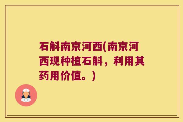 石斛南京河西(南京河西现种植石斛，利用其药用价值。)