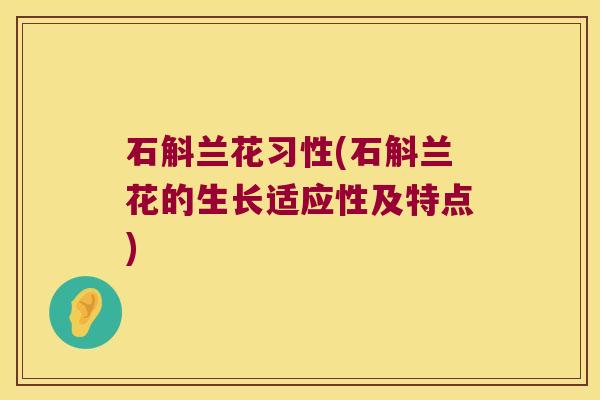 石斛兰花习性(石斛兰花的生长适应性及特点)