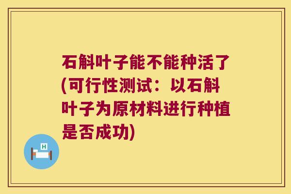 石斛叶子能不能种活了(可行性测试：以石斛叶子为原材料进行种植是否成功)