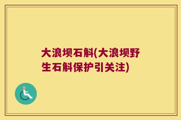 大浪坝石斛(大浪坝野生石斛保护引关注)