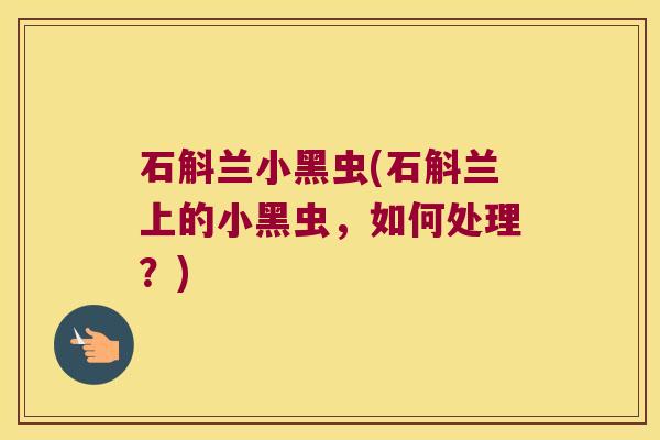 石斛兰小黑虫(石斛兰上的小黑虫，如何处理？)