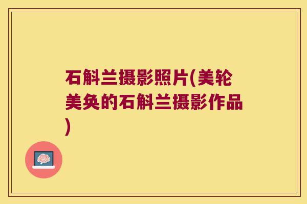 石斛兰摄影照片(美轮美奂的石斛兰摄影作品)