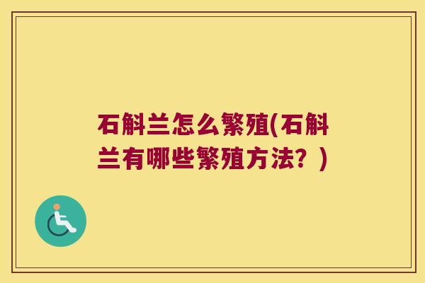 石斛兰怎么繁殖(石斛兰有哪些繁殖方法？)