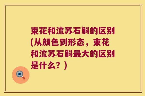 束花和流苏石斛的区别(从颜色到形态，束花和流苏石斛大的区别是什么？)