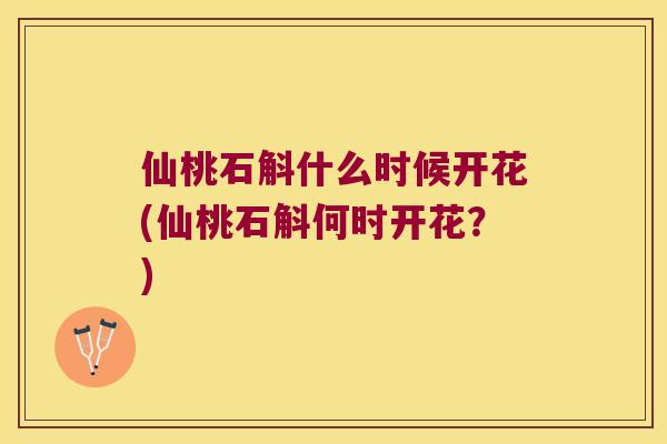 仙桃石斛什么时候开花(仙桃石斛何时开花？)
