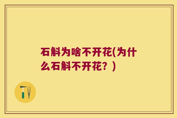 石斛为啥不开花(为什么石斛不开花？)