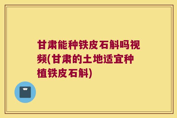甘肃能种铁皮石斛吗视频(甘肃的土地适宜种植铁皮石斛)