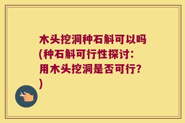 木头挖洞种石斛可以吗(种石斛可行性探讨：用木头挖洞是否可行？)