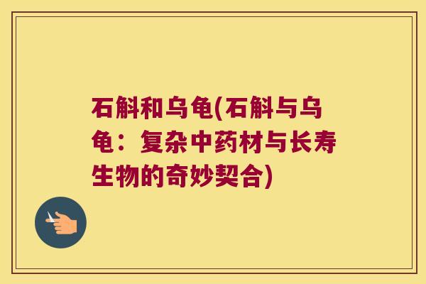 石斛和乌龟(石斛与乌龟：复杂材与长寿生物的奇妙契合)