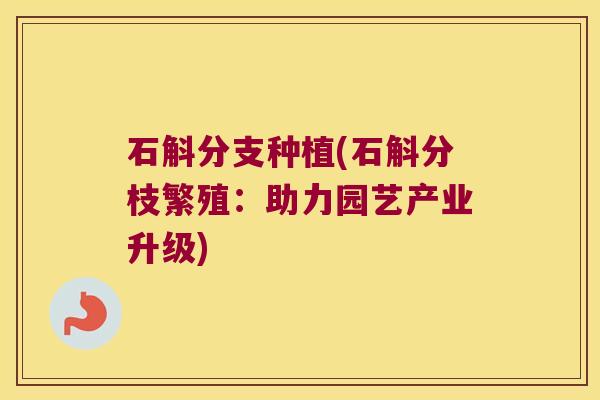 石斛分支种植(石斛分枝繁殖：助力园艺产业升级)