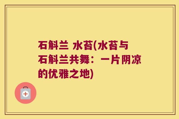 石斛兰 水苔(水苔与石斛兰共舞：一片阴凉的优雅之地)