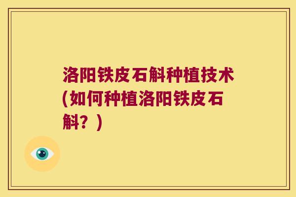 洛阳铁皮石斛种植技术(如何种植洛阳铁皮石斛？)