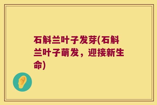 石斛兰叶子发芽(石斛兰叶子萌发，迎接新生命)