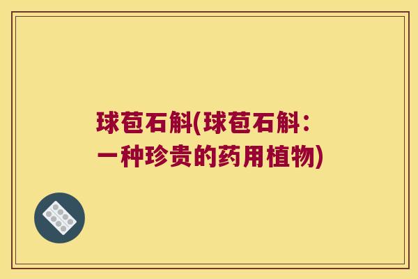 球苞石斛(球苞石斛：一种珍贵的药用植物)