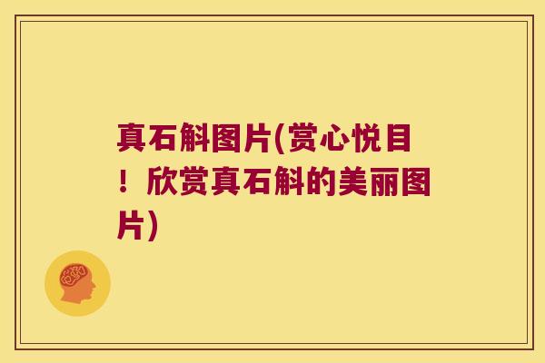 真石斛图片(赏心悦目！欣赏真石斛的美丽图片)
