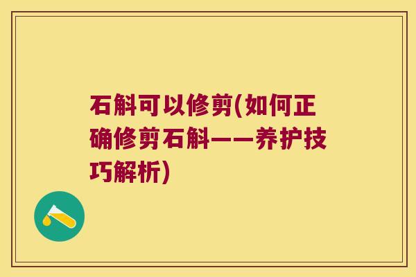 石斛可以修剪(如何正确修剪石斛——养护技巧解析)