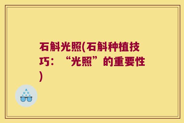 石斛光照(石斛种植技巧：“光照”的重要性)