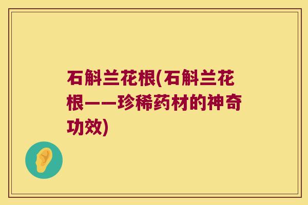 石斛兰花根(石斛兰花根——珍稀药材的神奇功效)