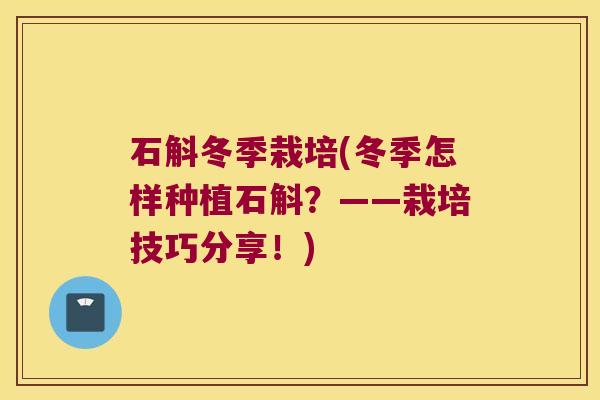 石斛冬季栽培(冬季怎样种植石斛？——栽培技巧分享！)