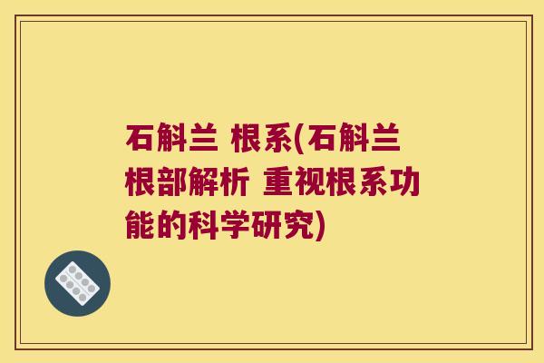 石斛兰 根系(石斛兰根部解析 重视根系功能的科学研究)