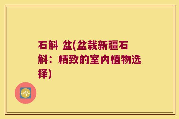 石斛 盆(盆栽新疆石斛：精致的室内植物选择)