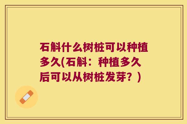 石斛什么树桩可以种植多久(石斛：种植多久后可以从树桩发芽？)