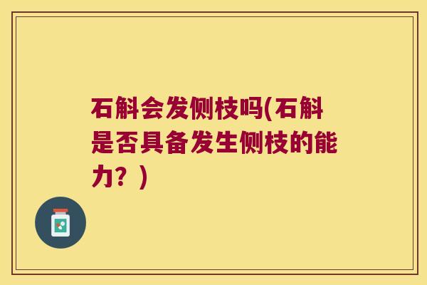 石斛会发侧枝吗(石斛是否具备发生侧枝的能力？)