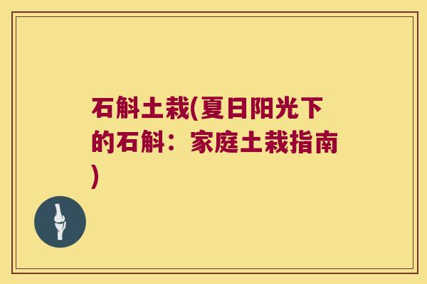 石斛土栽(夏日阳光下的石斛：家庭土栽指南)