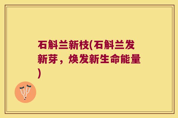 石斛兰新枝(石斛兰发新芽，焕发新生命能量)
