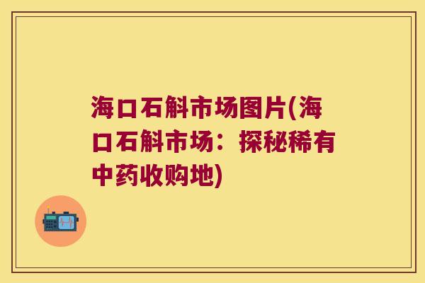 海口石斛市场图片(海口石斛市场：探秘稀有收购地)