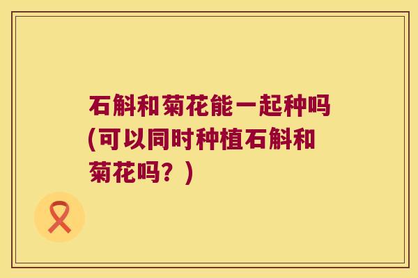 石斛和菊花能一起种吗(可以同时种植石斛和菊花吗？)
