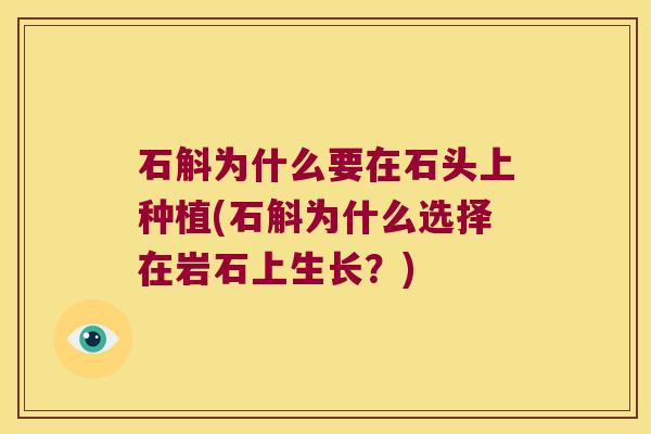 石斛为什么要在石头上种植(石斛为什么选择在岩石上生长？)
